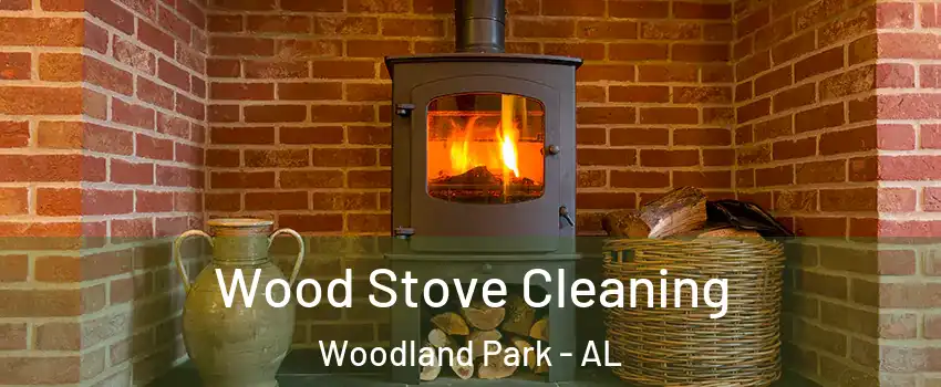 Wood Stove Cleaning Woodland Park - AL