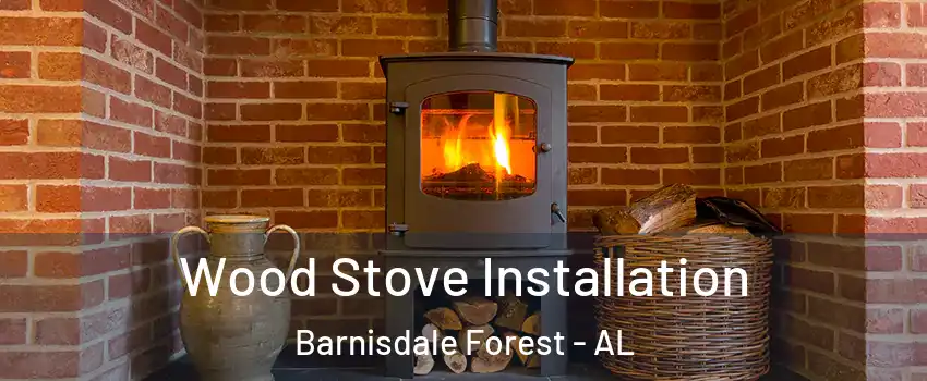 Wood Stove Installation Barnisdale Forest - AL