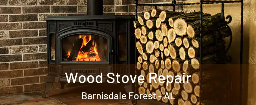Wood Stove Repair Barnisdale Forest - AL