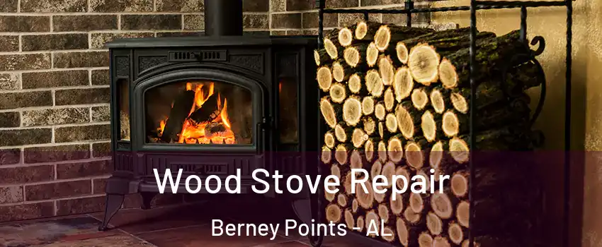 Wood Stove Repair Berney Points - AL
