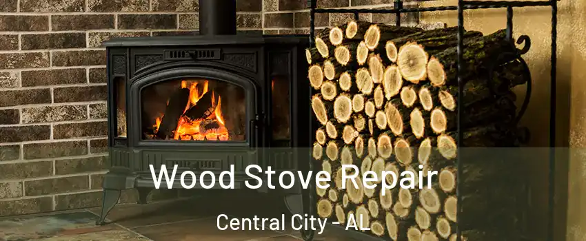 Wood Stove Repair Central City - AL