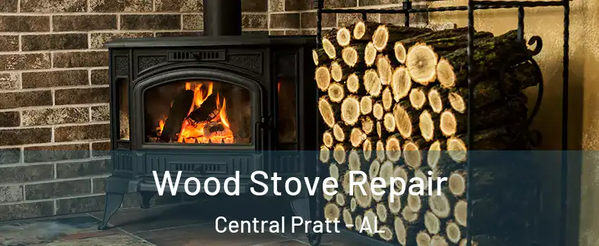 Wood Stove Repair Central Pratt - AL