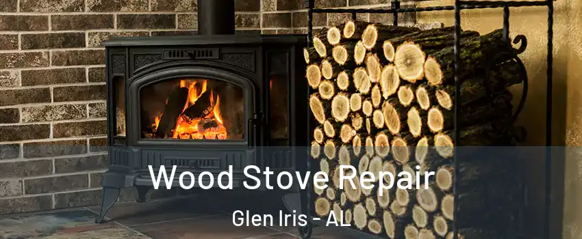 Wood Stove Repair Glen Iris - AL
