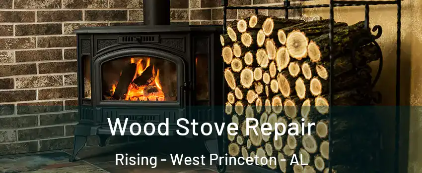Wood Stove Repair Rising - West Princeton - AL