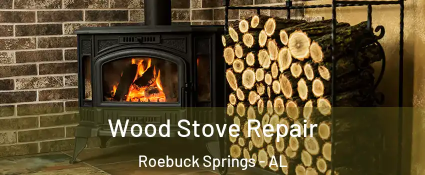Wood Stove Repair Roebuck Springs - AL